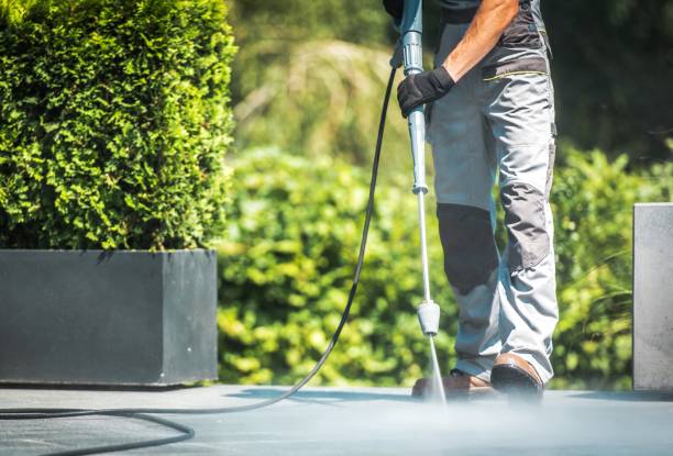 Best Animal Enclosure Cleaning  in Tornado, WV