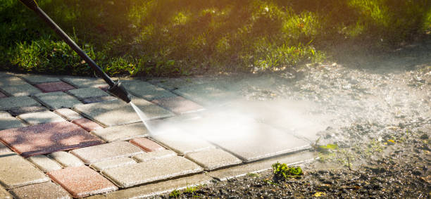 Best Solar Panel Cleaning  in Tornado, WV